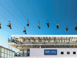 FLY LINQ